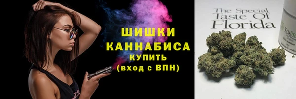 гидра Кодинск