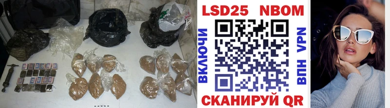 как найти закладки  Курчатов  ЛСД экстази ecstasy 