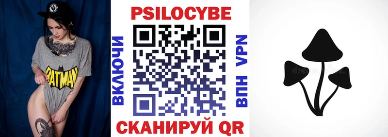 дарнет шоп  Курчатов  Псилоцибиновые грибы MAGIC MUSHROOMS 